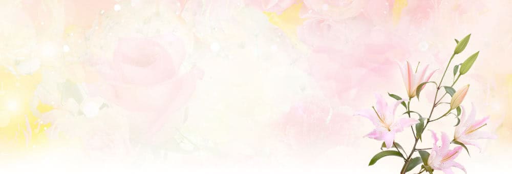 �t�F�����Ăق���������������Ԃ��Ă���鏗����T���ăt�F������������@